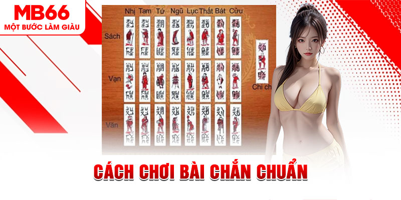hot 51 gà chọi cậu thanh