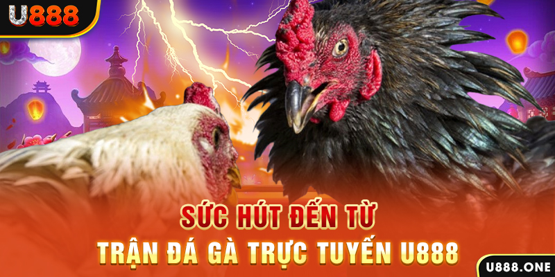 hot 51 đá gà trực tiếp c1