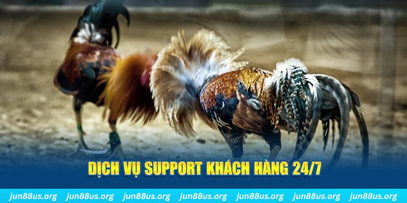 hot 51 ÁT CHỦ BÀI GIÀNH LẤY ZHUANG NIUNIU ( XEM 4 LÁ )