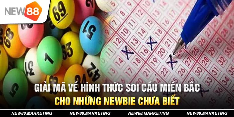 hot 51 xổ số tây ninh