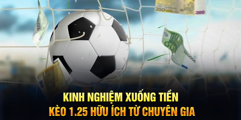hot 51 TCG Xổ Số