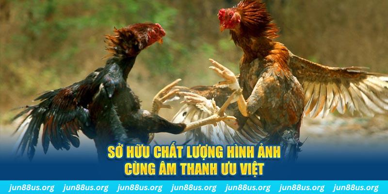 hot 51 PP Điện Tử