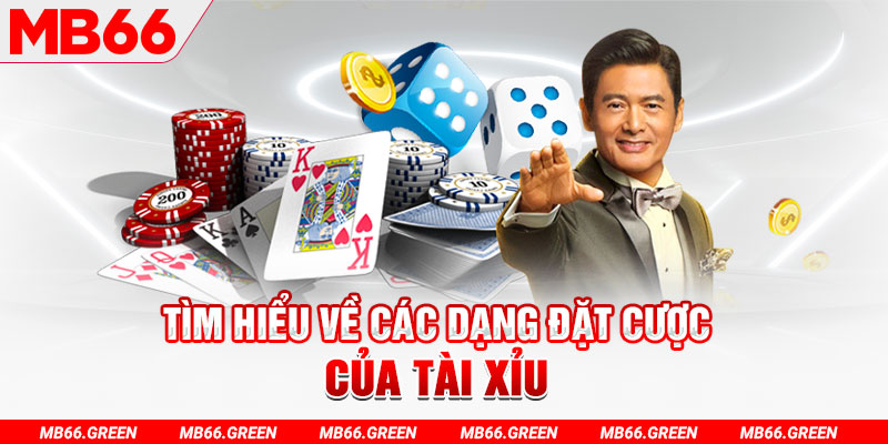 hot 51 what is a virtual casino