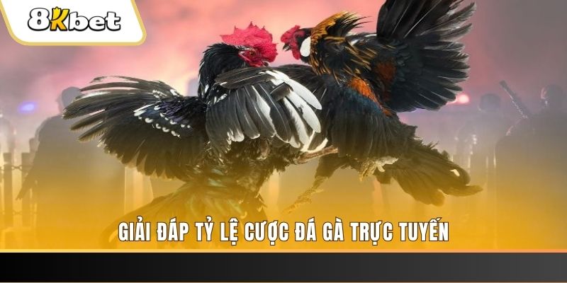 hot 51 xổ số đài miền trung