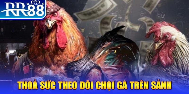 hot 51 trực tiếp đá gà c1